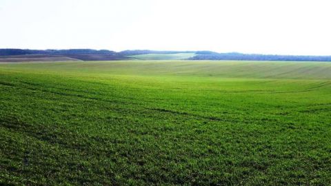 Eladó Telek 2038 Sóskút Sóskúti Lovaspark közelében