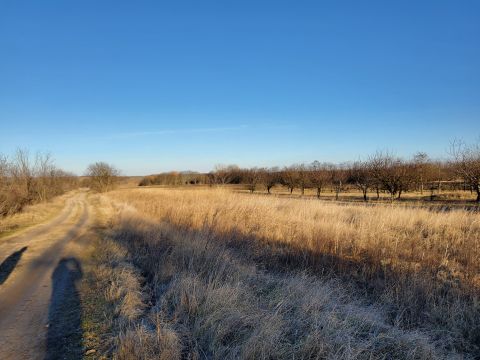 Eladó Telek 8111 Seregélyes , Buszmegállóhoz közel