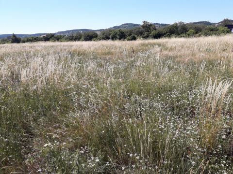 Eladó Telek 8230 Balatonfüred Központi elhelyezkedés