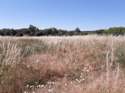 Eladó Telek 8230 Balatonfüred , Központi elhelyezkedés