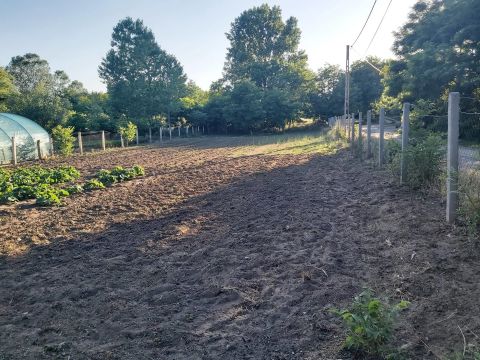 Eladó Telek 4400 Nyíregyháza Nyíregyháza-Nyírszőlős között