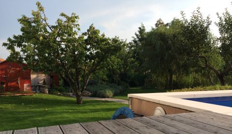 Eladó Ház 8412 Veszprém , Egyedülálló ház, csodás, parkosított kert, medence, kerti tó! Mi kellhet még?