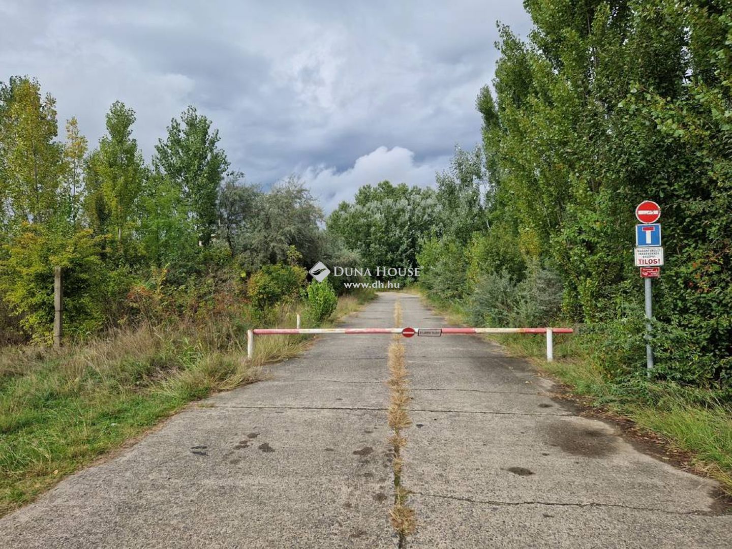 Nagy területű ipari ingatlan a kalocsai reptérnél – IP093781