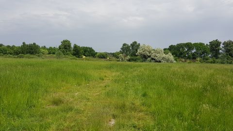 Eladó Telek 2220 Vecsés , Vecsés külterületén pormentes útnál 2,5 hektár szántó-legelő eladó!