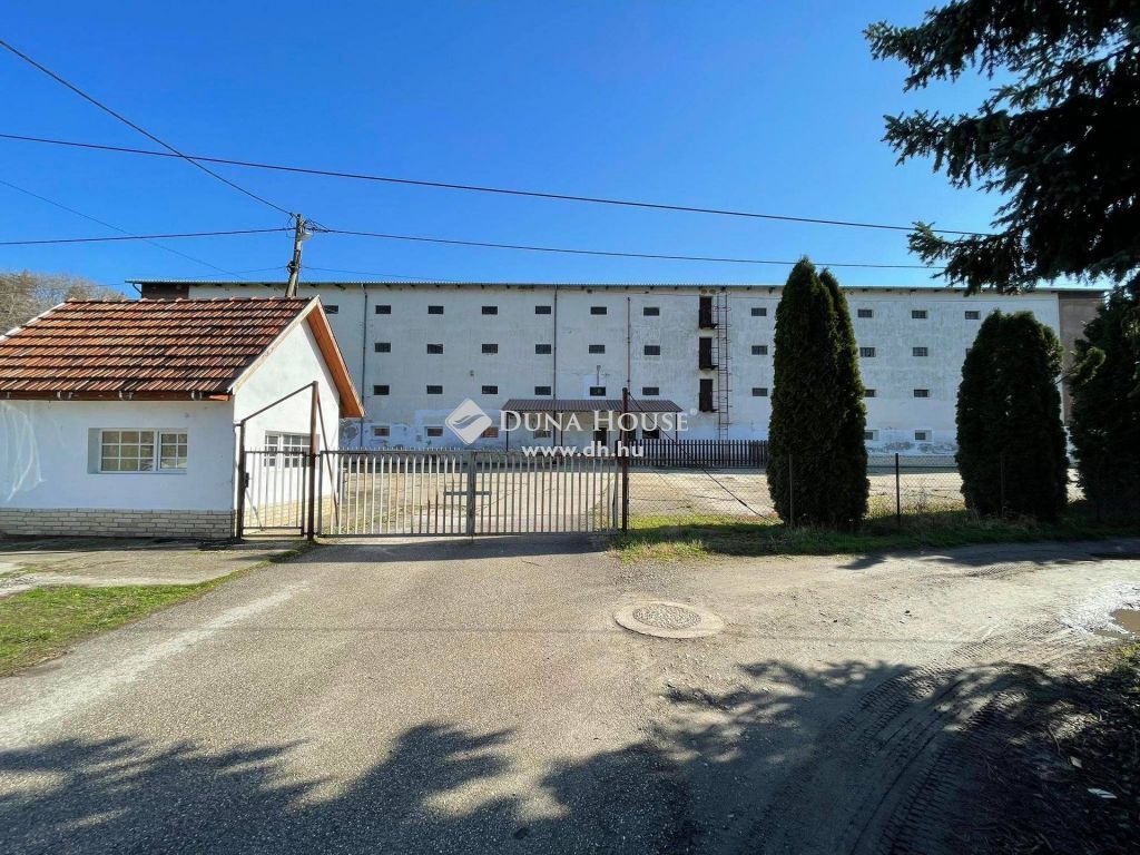 6421 Kisszállás , EGYEDI INGATLAN SZÁMTALAN LEHETŐSÉGGEL 6010 m2-es TERÜLETTEL — 1/17