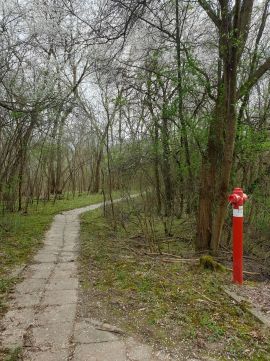 Eladó Telek 6771 Szeged , Szeged-Szőreg