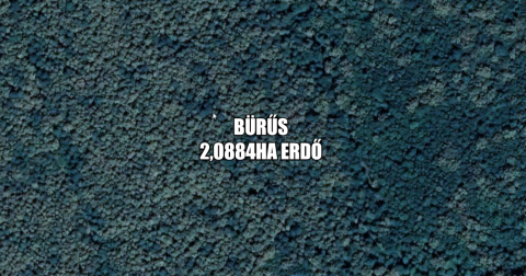 Eladó Mezőgazdasági 7973 Bürüs , Bürűs