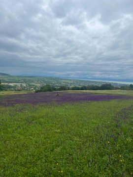 Eladó Telek 8617 Kőröshegy , Toscan hangulatú panorámával a Kőröshegyről!