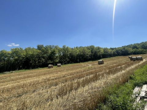 Eladó Telek 9082 Nyúl Panorámás Telek