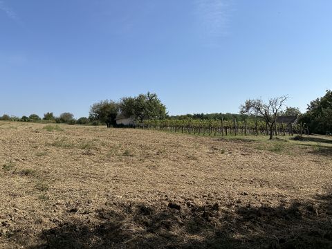 Eladó Ház 8734 Somogyzsitfa Szőlős birtok SOMOGYZSITFA zártkerti részén