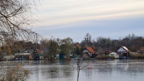 Eladó Telek 8100 Várpalota , Nyárfás tó