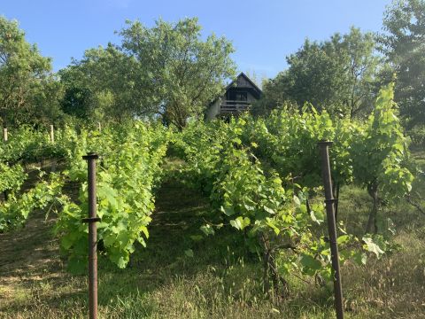 Eladó Ház 8600 Siófok Panorámás nyaraló, SIÓFOK KILITIN gyümölcsössel, szőlővel