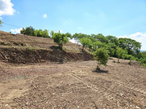 Eladó Telek 7635 Pécs Donátusban új parcellázású telkek