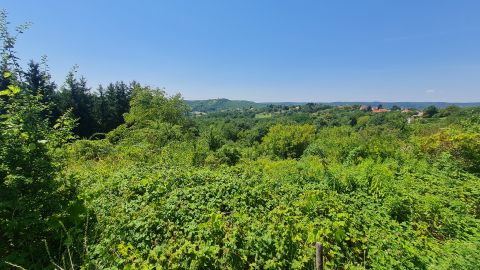 Eladó Telek 8900 Zalaegerszeg 