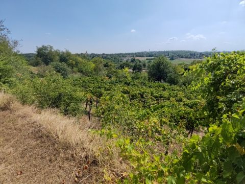 Eladó Telek 8137 Mezőkomárom , Mezőkomáromban gyönyörű panorámával telek eladó