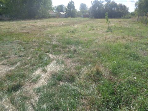 Eladó Telek 8000 Székesfehérvár , Maroshegyen külterületi telek