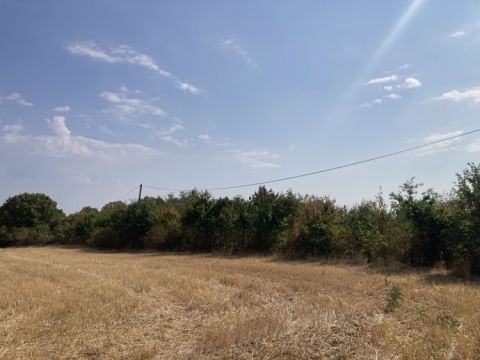 Eladó Telek 7720 Pécsvárad , Dombay tó fölött erdő rét legelő