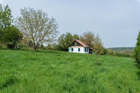 Kiadó Ház 2092 Budakeszi 