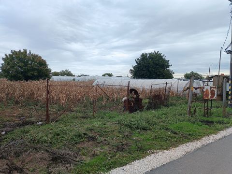 Eladó Telek 6600 Szentes 