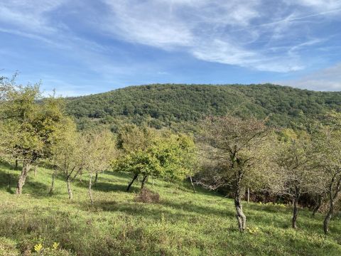 Eladó Telek 2621 Verőce 