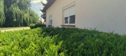 Eladó Ház 5530 Vésztő 5530 Vésztő, belváros közeli