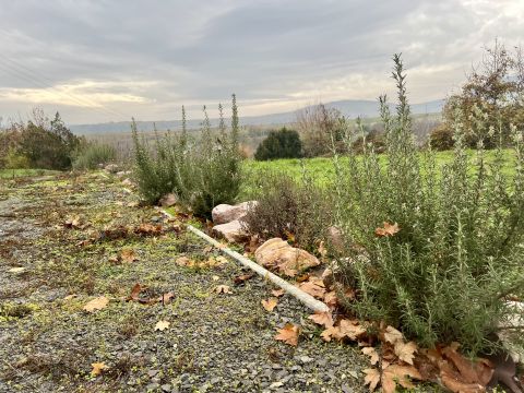Eladó Telek 7694 Hosszúhetény 