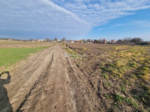 Eladó Telek 8111 Seregélyes Építési telek, nyugodt csendes környéken