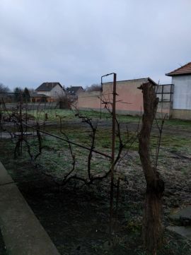 Eladó Telek 3000 Hatvan 
