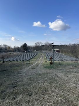 Eladó Telek 4532 Nyírtura , Nyírtura