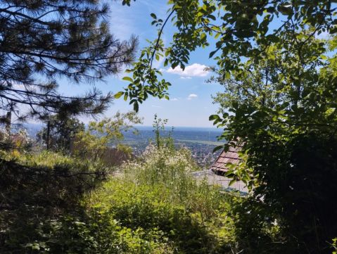 Eladó Ház 2040 Budaörs Frankhegyen Örökpanorámával