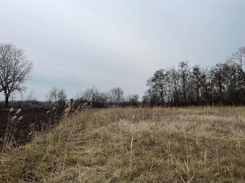 Eladó Ház 2750 Nagykőrös 2750 Nagykőrös, Homolytáj dülő