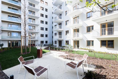 Eladó Lakás 1083 Budapest 8. kerület 