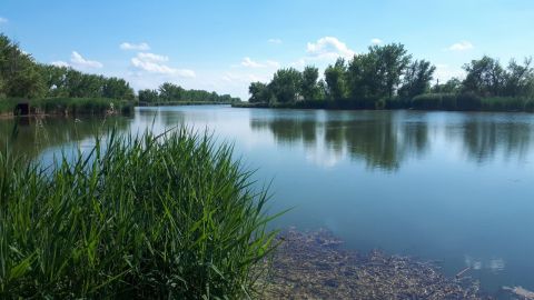 Eladó Telek 5091 Tószeg Tószeg, vízparthoz közel