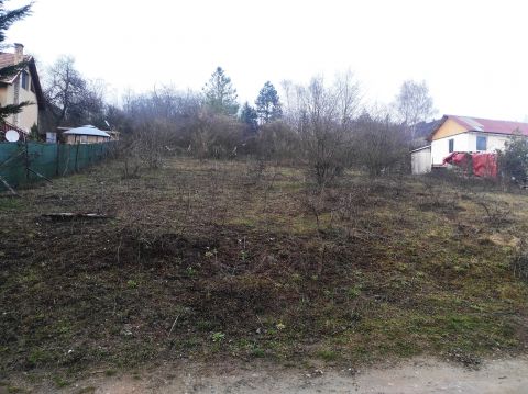 Eladó Telek 2182 Domony 