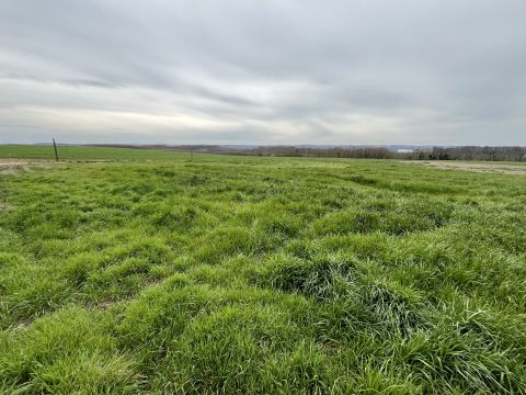 Eladó Telek 8371 Nemesbük 