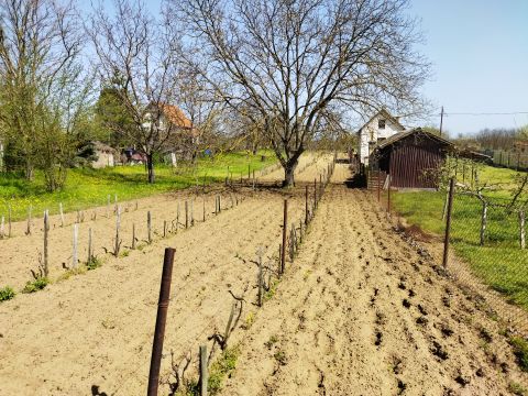 Eladó Telek 2242 Sülysáp Besnyői dűlő