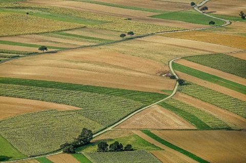 Eladó Telek 2161 Csomád , 2161 Csomád, Csomád