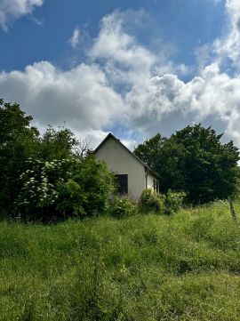 Eladó Mezőgazdasági 7932 Mozsgó Mozsgó Szőlőhegy, Alsóhegy