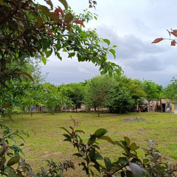 Eladó Telek 8861 Szepetnek 