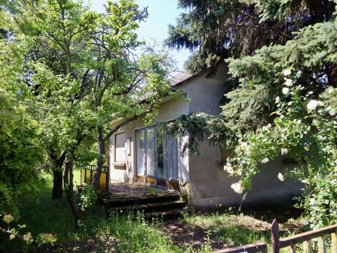 Eladó Ház 9554 Borgáta 