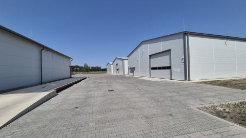 Eladó Ipari 6034 Helvécia , Újszerű 4db csarnok épület, összesen 3700nm, 17717nm iparter