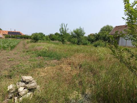 Eladó Telek 5600 Békéscsaba 5600 Békéscsaba, Jamina