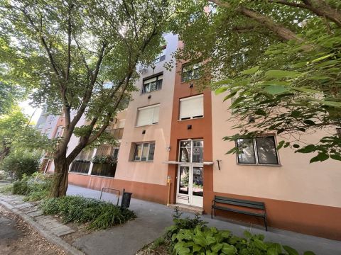 Kiadó Lakás 6000 Kecskemét , Kiadó 2 szobás, bútorozatlan, erkélyes lakás!