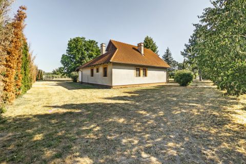 Eladó Ház 6065 Lakitelek Pazar szőlős bírtok eladó! Hatalmas borospincével!