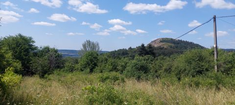 Eladó Telek 2040 Budaörs , Frankhegy aszfaltozott úton elérhető
