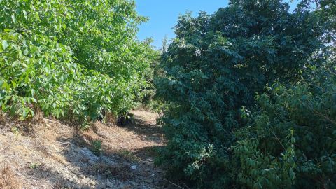Eladó Telek 8265 Hegymagas 