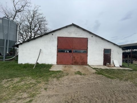 Eladó Mezőgazdasági 6781 Domaszék 