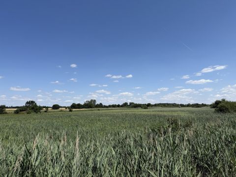 Eladó Telek 2243 Kóka , Bagi tó