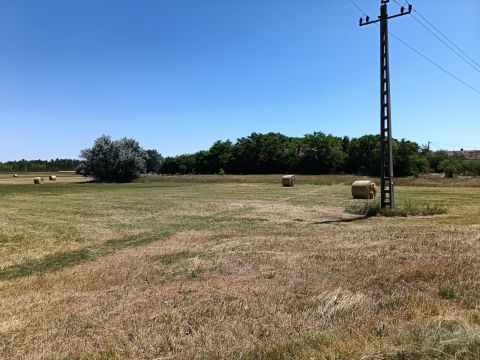 Eladó Mezőgazdasági 6791 Szeged 
