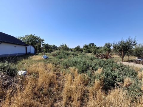 Eladó Ház 4100 Berettyóújfalu 